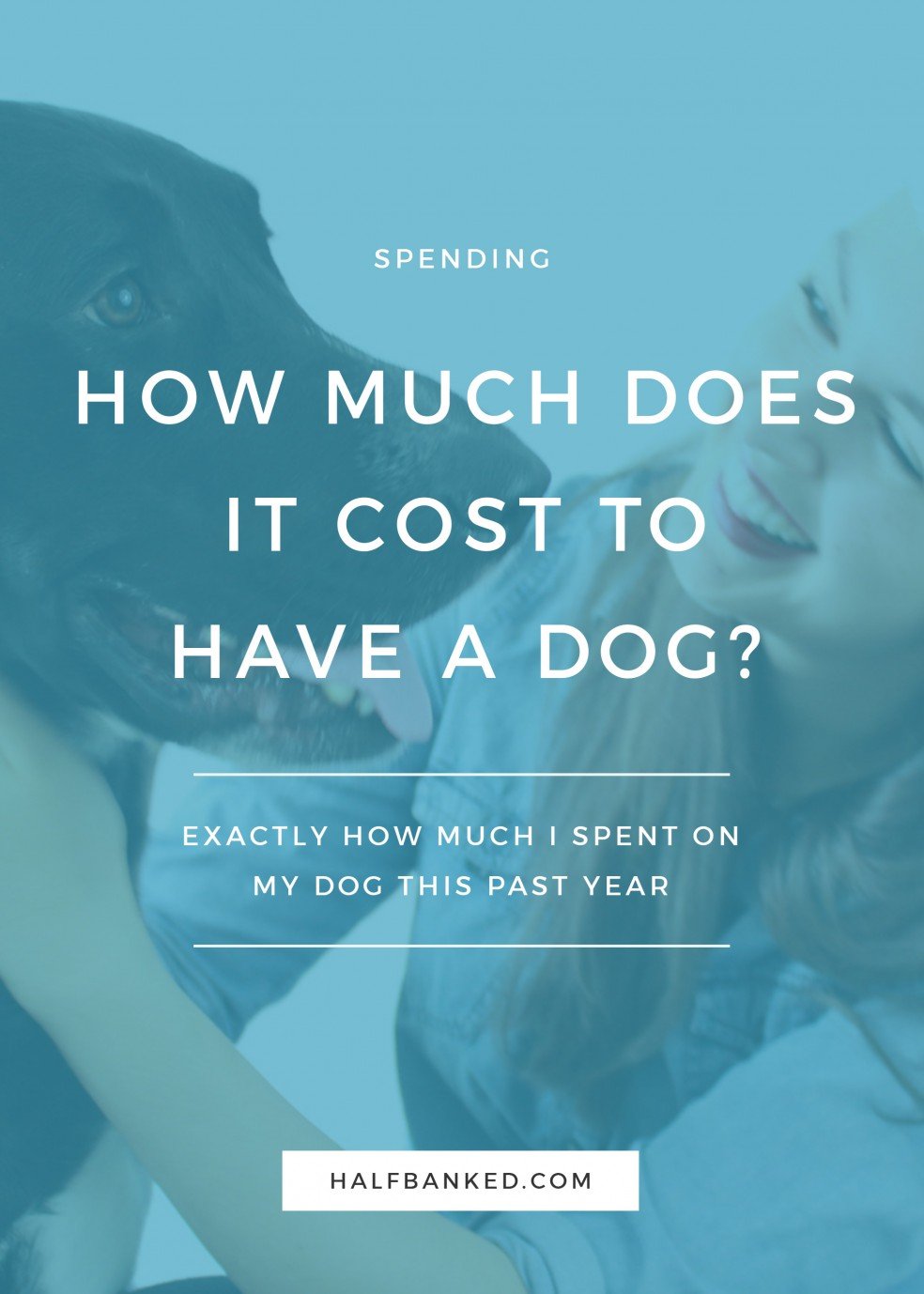 How Much It Cost To Have a Dog For a Year Half Banked