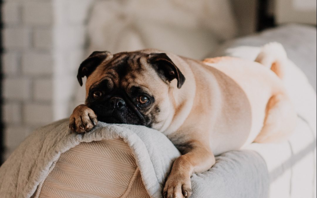 How to Actually Start Investing—Without Leaving Your House