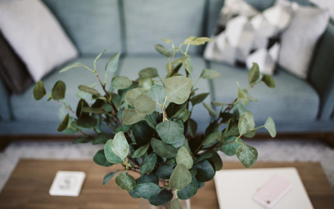 How to Update Your Living Room on a Medium Budget